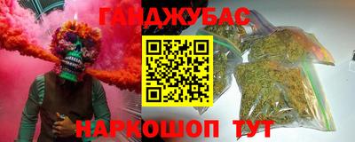 Альфа ПВП Бийск
