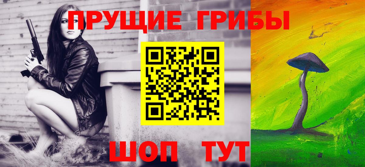 Галлюциногенные грибы Cubensis Канаш